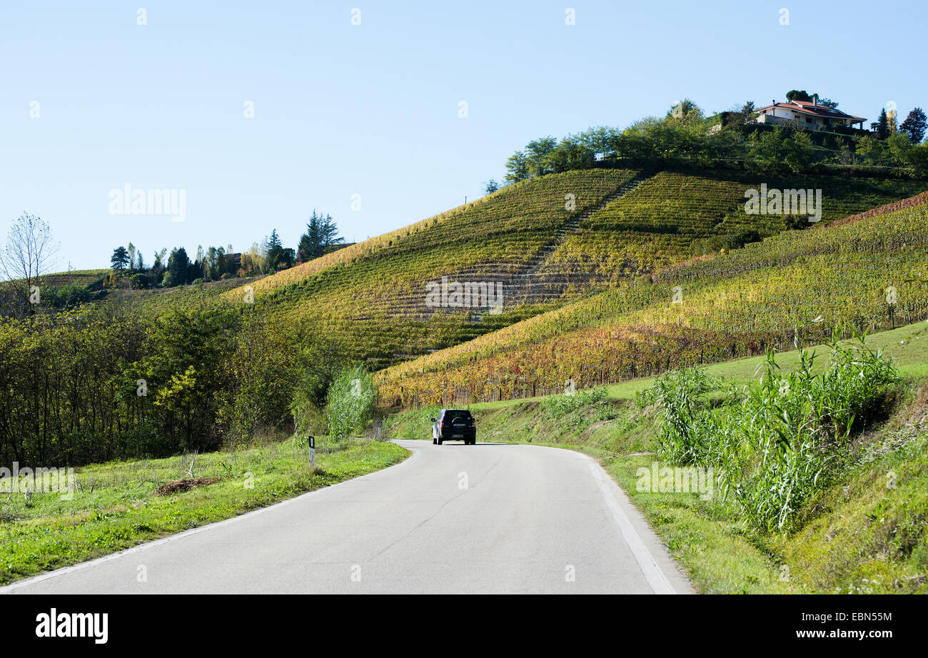 L'Italia,panorama di vigneti del Piemonte: Langhe-Roero e Monferrato nella Lista del Patrimonio Mondiale UNESCO Foto Stock