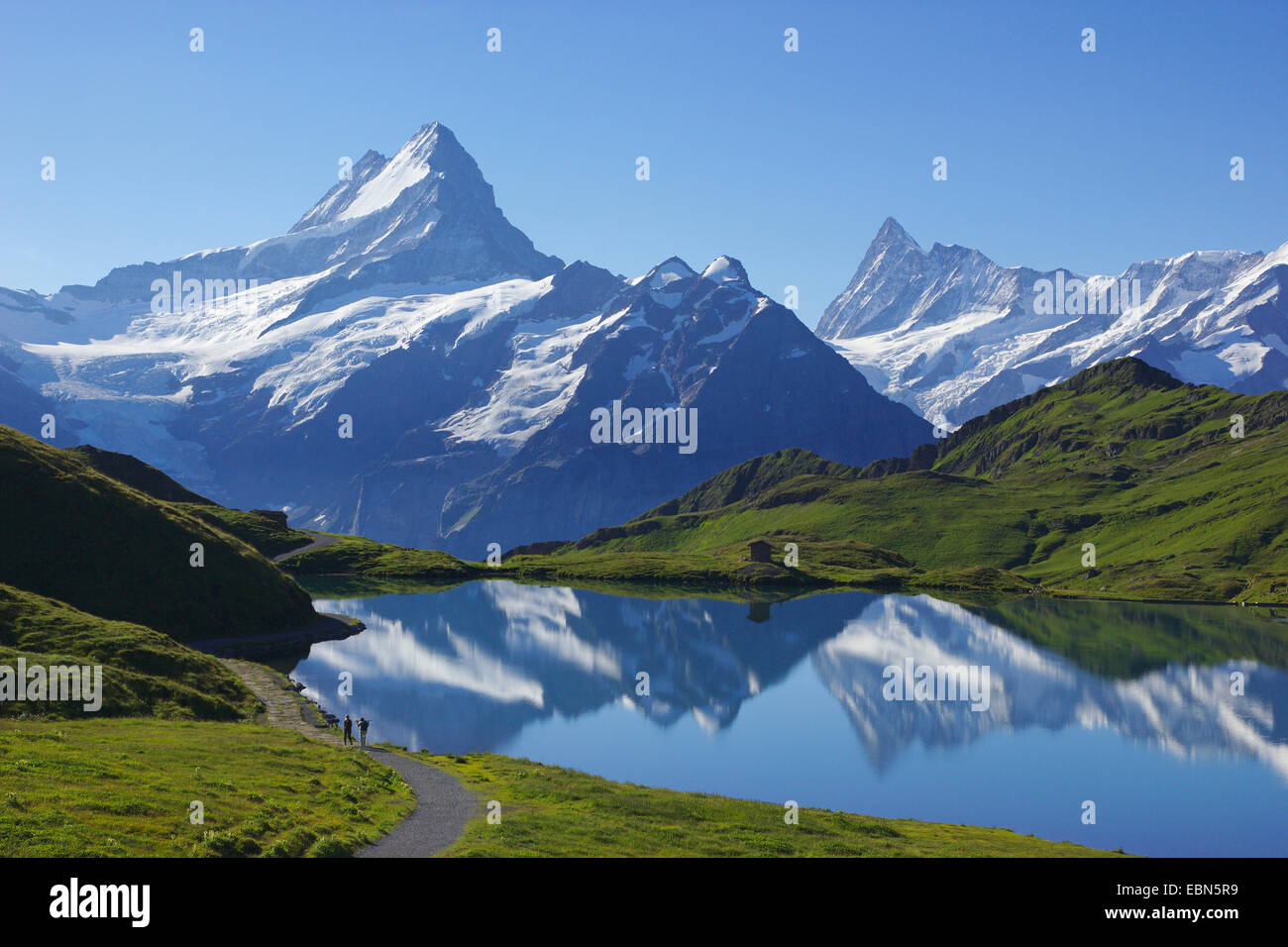 Schreckhorn e Finsteraarhorn mirroring su lago di Bach vicino a Grindelwald, Svizzera Foto Stock