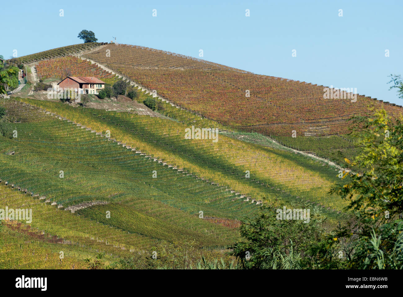 L'Italia,panorama di vigneti del Piemonte: Langhe-Roero e Monferrato nella Lista del Patrimonio Mondiale UNESCO Foto Stock