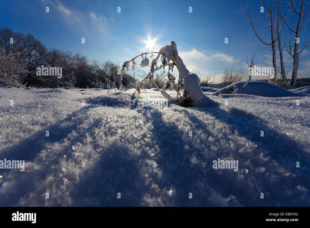 Coperte di neve scenario di campo, in Germania, in Sassonia, Jocketa Foto Stock