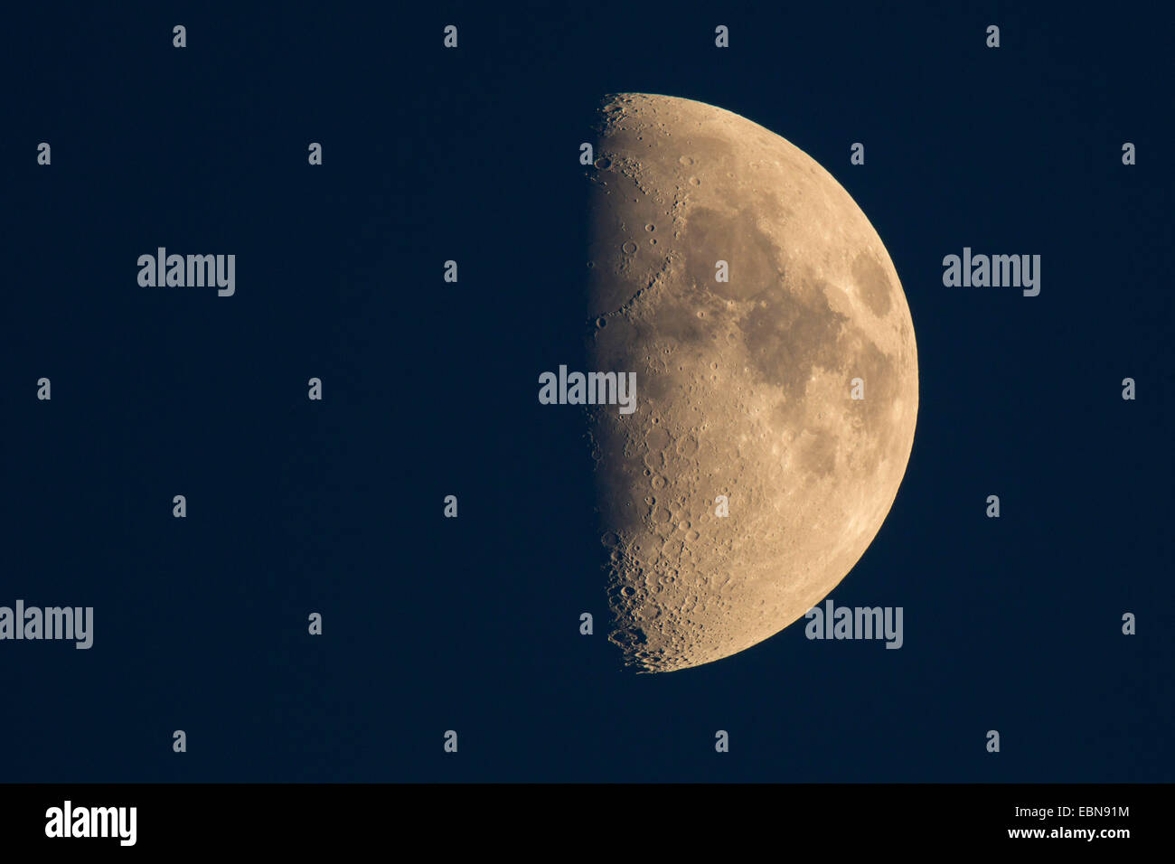 Mezza luna, primo trimestre, in Germania, in Baviera Foto Stock