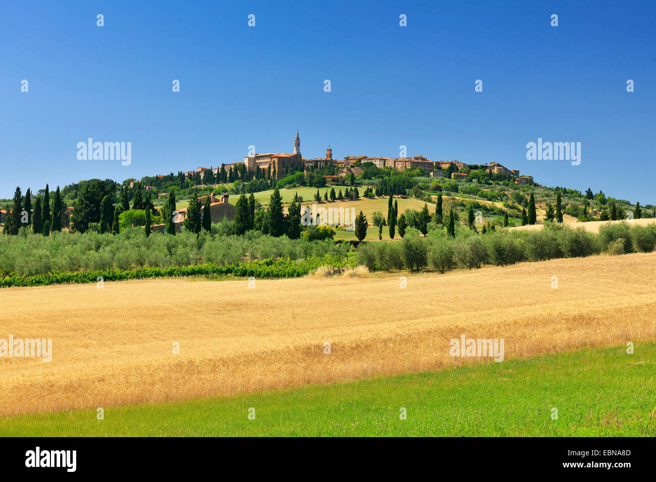 Campo di grano in estate con il centro storico di Pienza, Italia, Toscana, Siena, Pienza Foto Stock