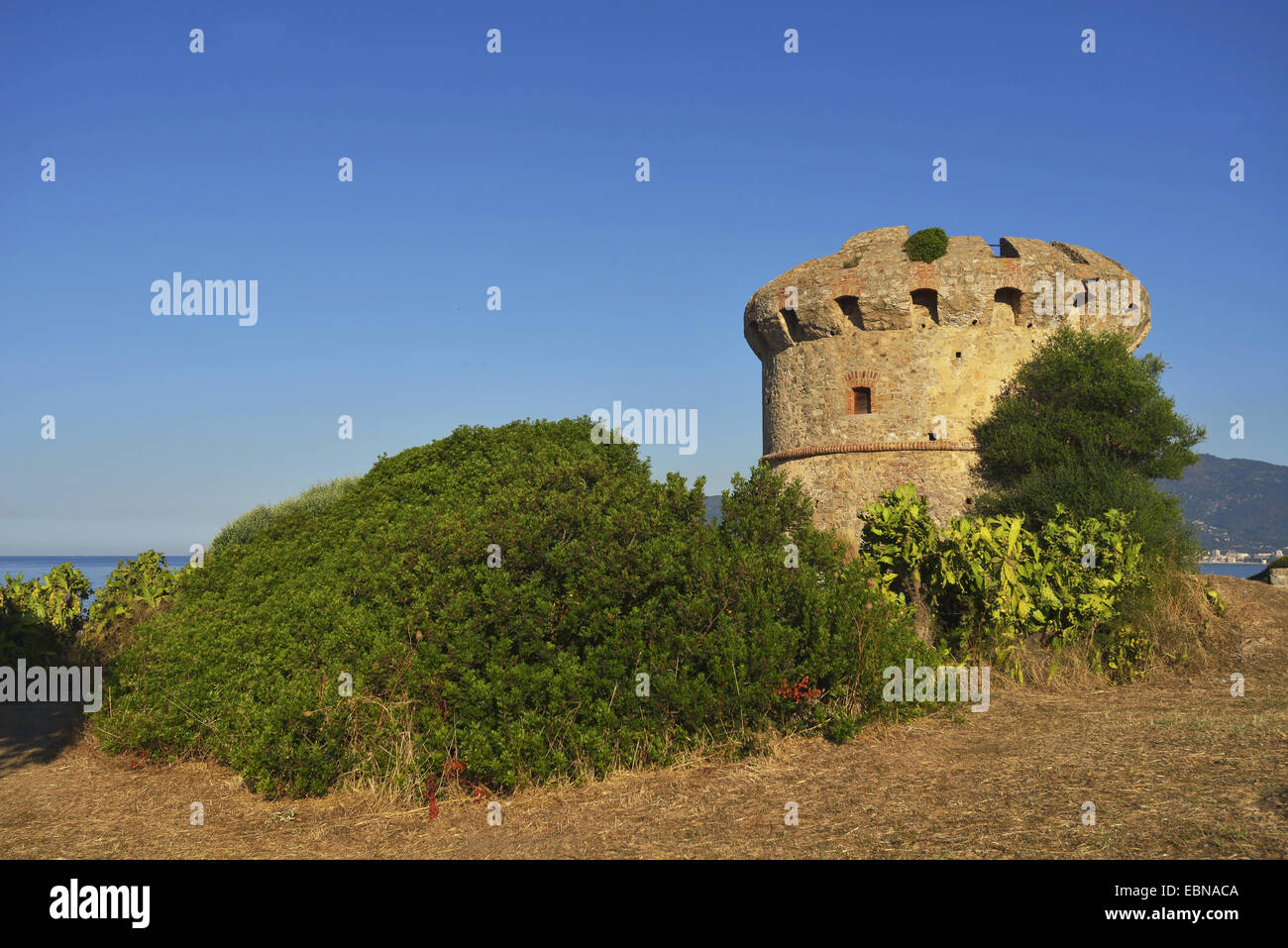 Torre genovese nei pressi di Ajaccio , Francia, Corsica Foto Stock
