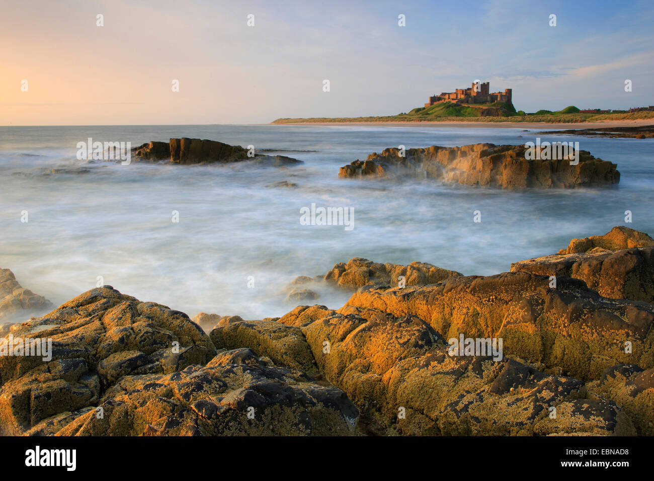 Il castello di Bamburgh nelle prime ore del mattino, Regno Unito, Inghilterra, Northumberland Foto Stock