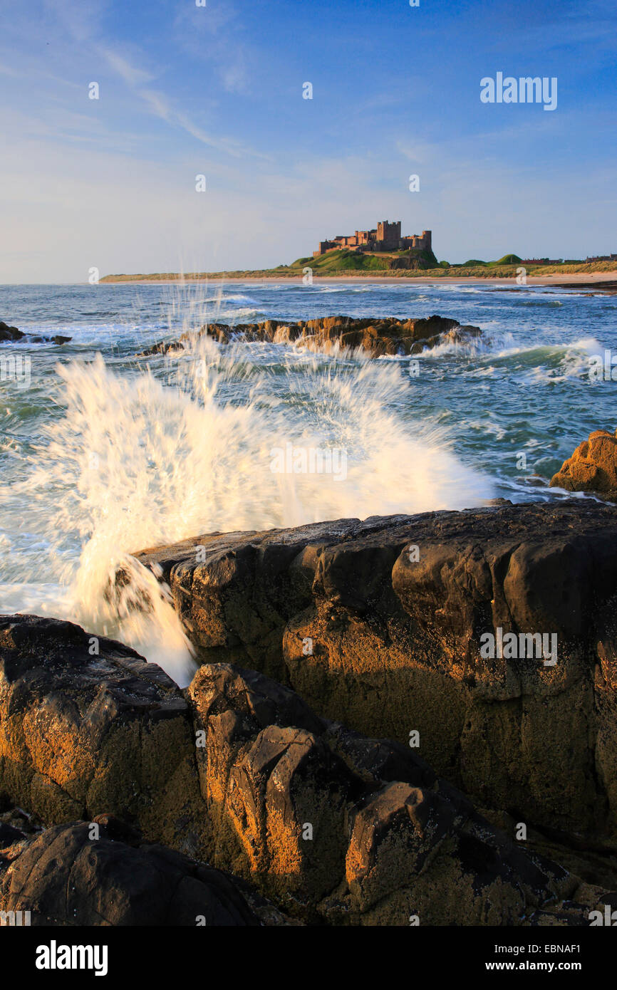 Il castello di Bamburgh presso la costa del Northumberland, Regno Unito, Inghilterra, Northumberland Foto Stock