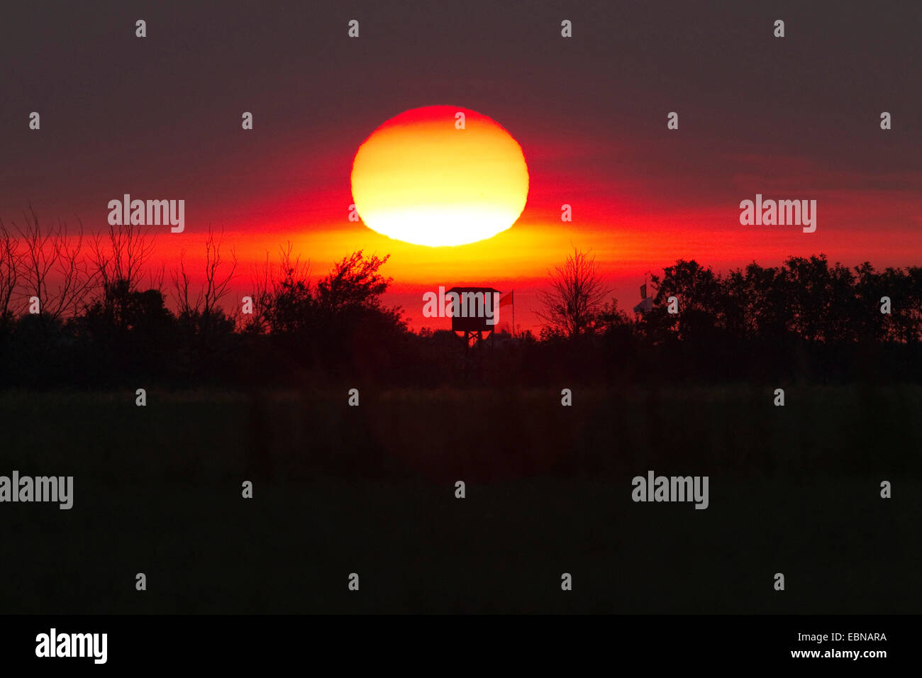 Silhouette di pelle sollevata a sunrise, Germania Foto Stock