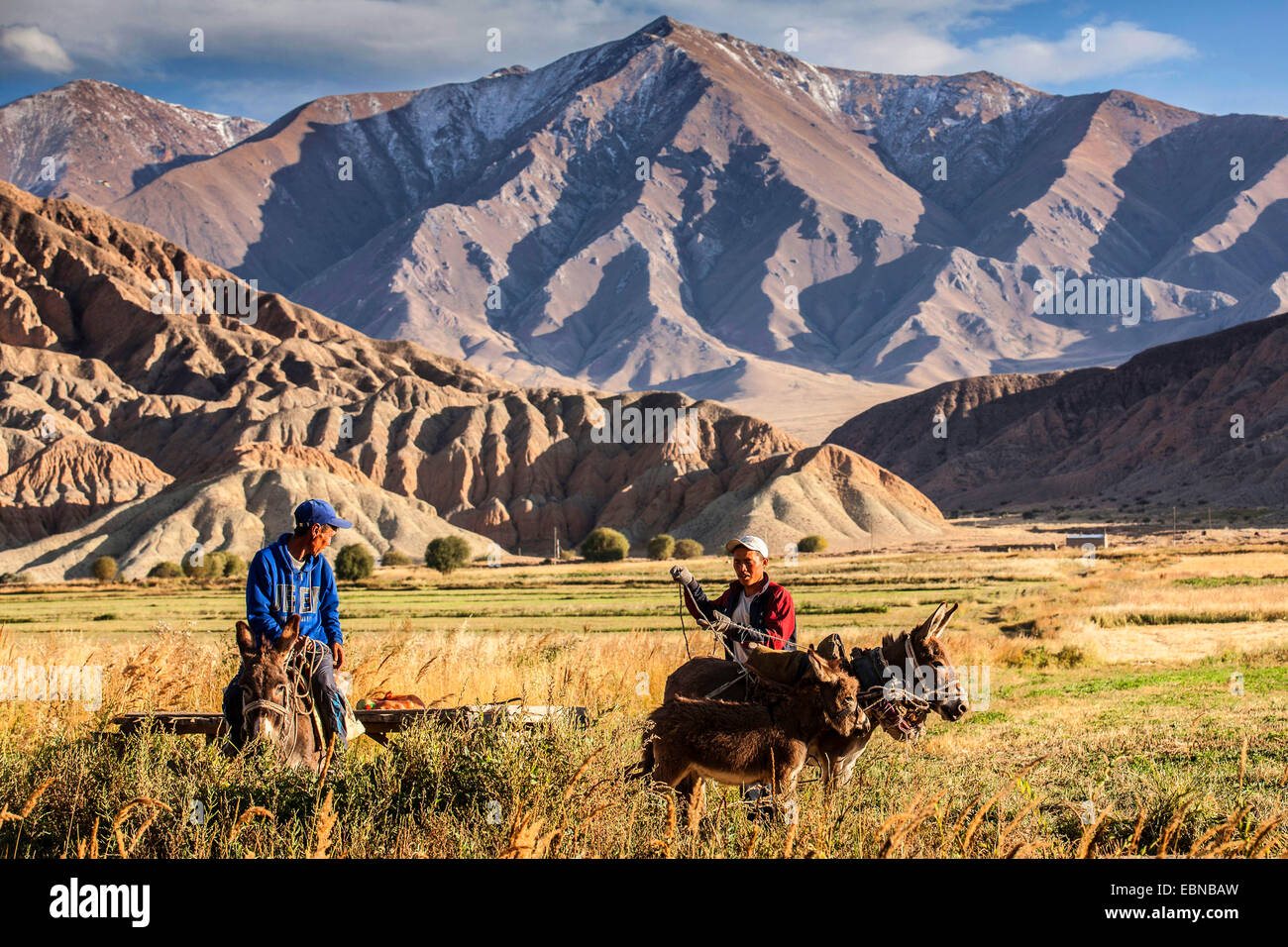 I lavoratori agricoli con donkey cart nel campo del paesaggio, la gamma della montagna di background, Kirghizistan, Karakoel Foto Stock
