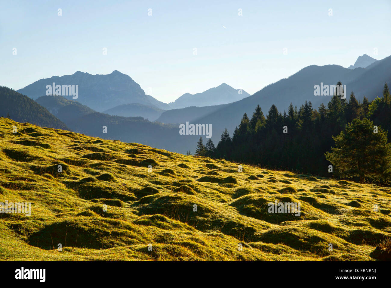 Pascolo alpino e del paesaggio di montagna con vista sulle montagne del Wetterstein, Austria, Tirolo, Lechtaler Alpen Foto Stock