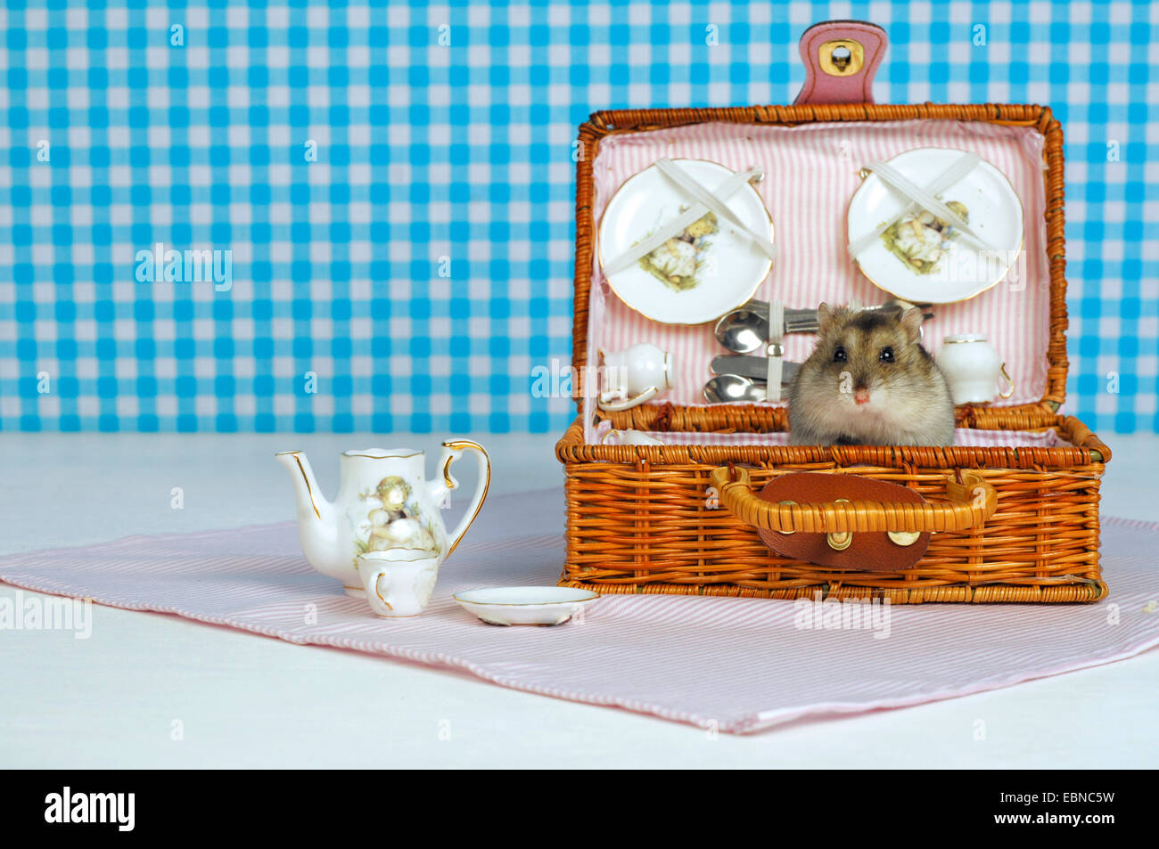 Striped hairy-footed hamster, Dzungarian criceto (Phodopus sungorus), un criceto seduto in un cesto da picnic Foto Stock