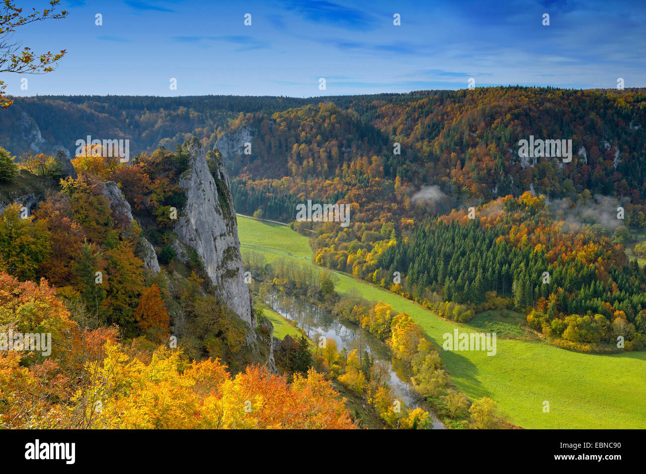 Riserva naturale Stiegelesfels in alto a valle del Danubio in autunno, GERMANIA Baden-Wuerttemberg, Svevo Foto Stock