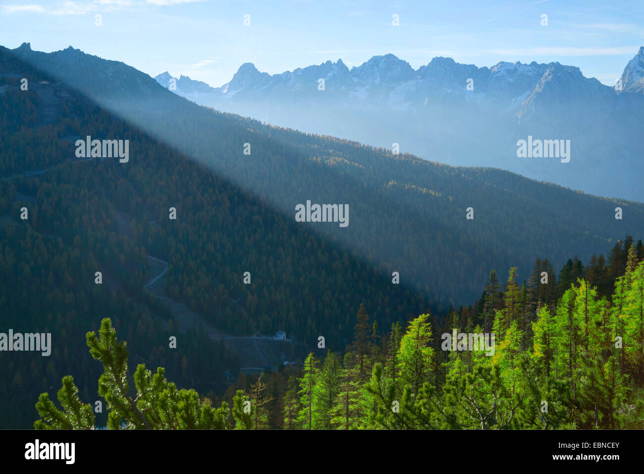 Paesaggio autunnale presso le Alpi dolomitiche in inizio di mattina di luce, Marmarole in background, Italia, Alto Adige, Dolomiti Foto Stock