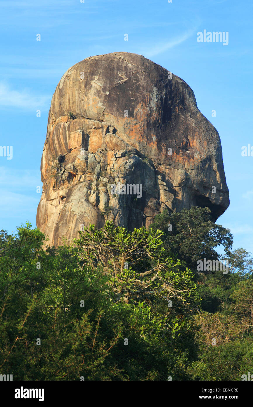 Formazione di roccia nel mezzo di arbusti, Sri Lanka, Yala National Park Foto Stock