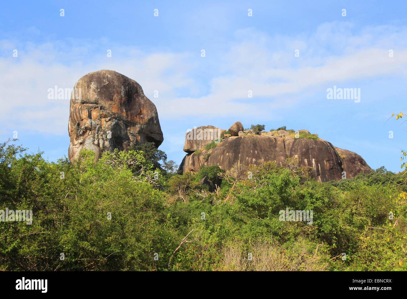 Le formazioni rocciose tra arbusti, Sri Lanka, Yala National Park Foto Stock