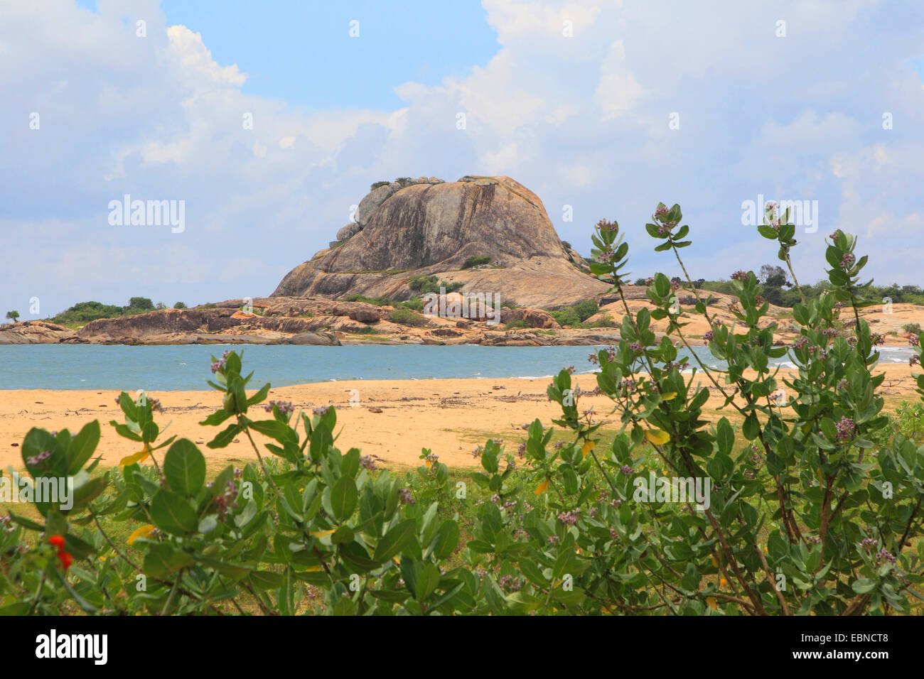 Le formazioni rocciose in spiaggia, Sri Lanka, Yala National Park Foto Stock