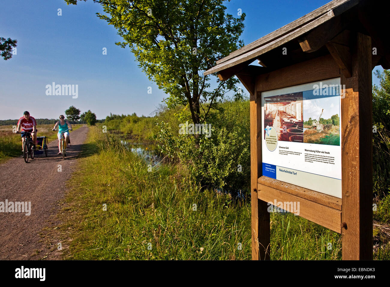 Tour in bicicletta di una famiglia attraverso le grandi brughiere vicino Luebbecke, in Germania, in Renania settentrionale-Vestfalia, Luebbecke Foto Stock