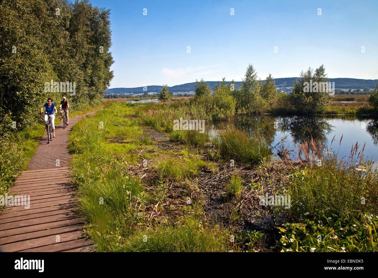 Due ciclisti presso la grande brughiera vicino Luebbecke, in Germania, in Renania settentrionale-Vestfalia, Luebbecke Foto Stock