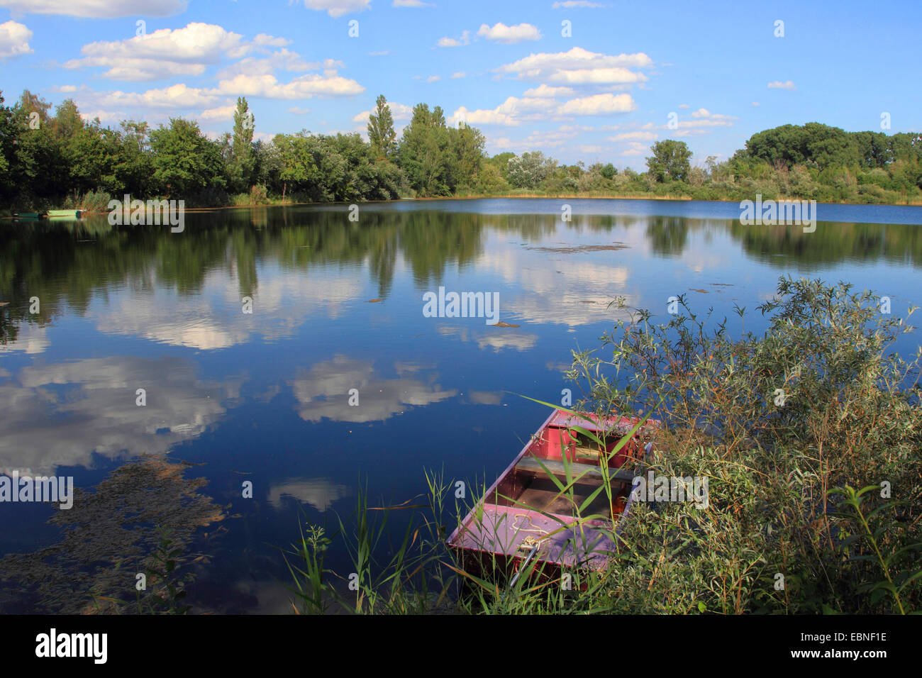 Lanca Altrhein con la barca di legno in estate, Germania Foto Stock
