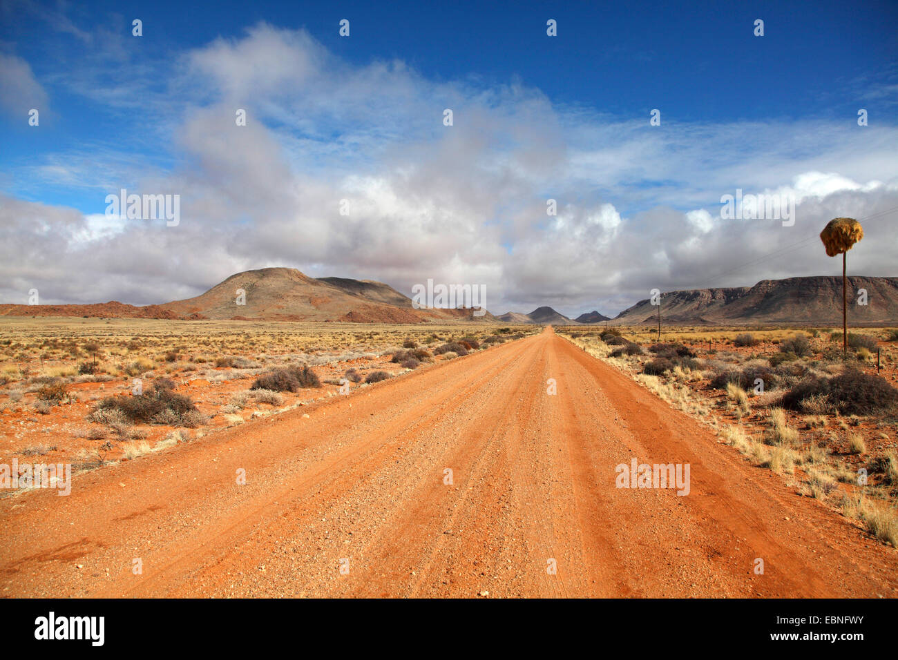 Strada sterrata attraverso il semi-deserto a sud-ovest di Pofadder, Sud Africa, Capo Settentrionale Foto Stock