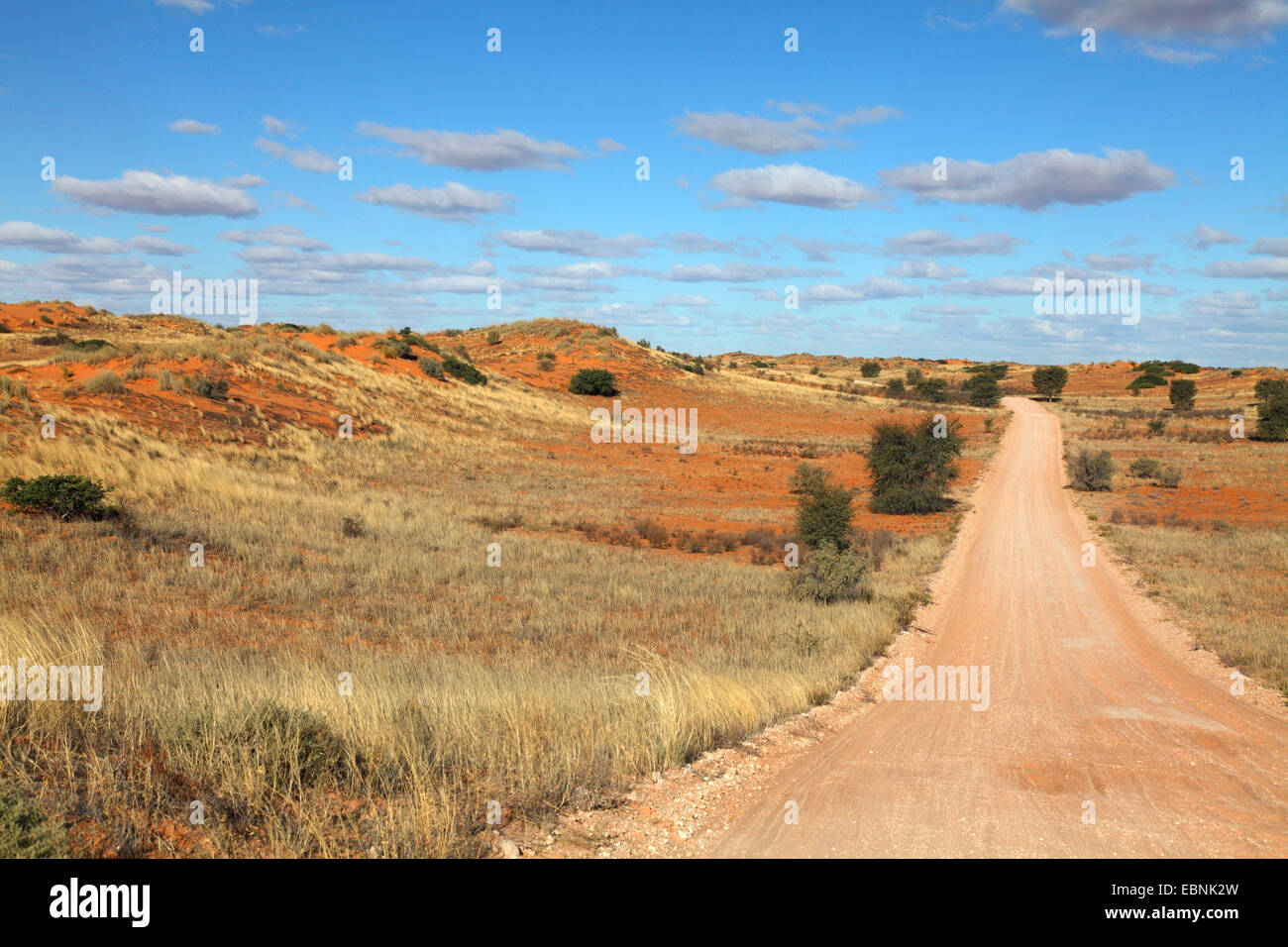 Strada sterrata attraverso le dune del Kalahari vicino Kij Kamies, Sud Africa, Kgalagadi transfrontaliera Parco Nazionale Foto Stock