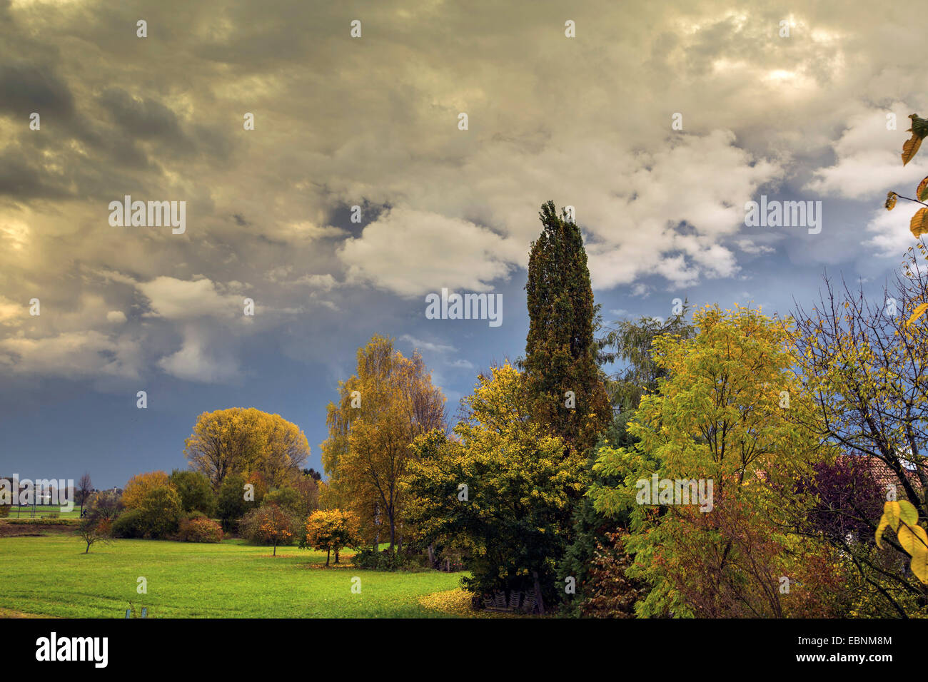 Dopo la tempesta in autunno, in Germania, in Baviera, Isental Foto Stock