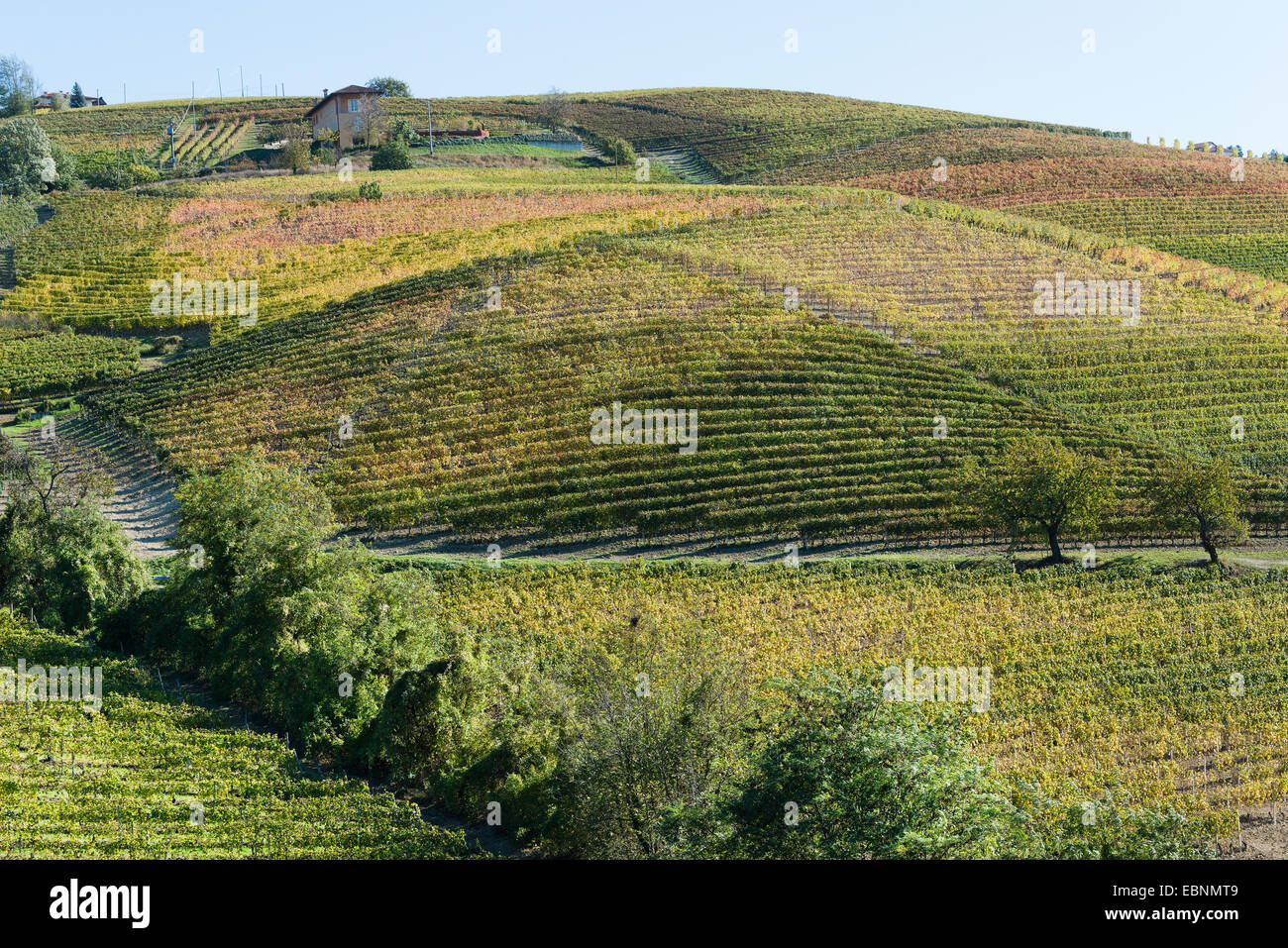 L'Italia,panorama di vigneti del Piemonte: Langhe-Roero e Monferrato nella Lista del Patrimonio Mondiale UNESCO Foto Stock