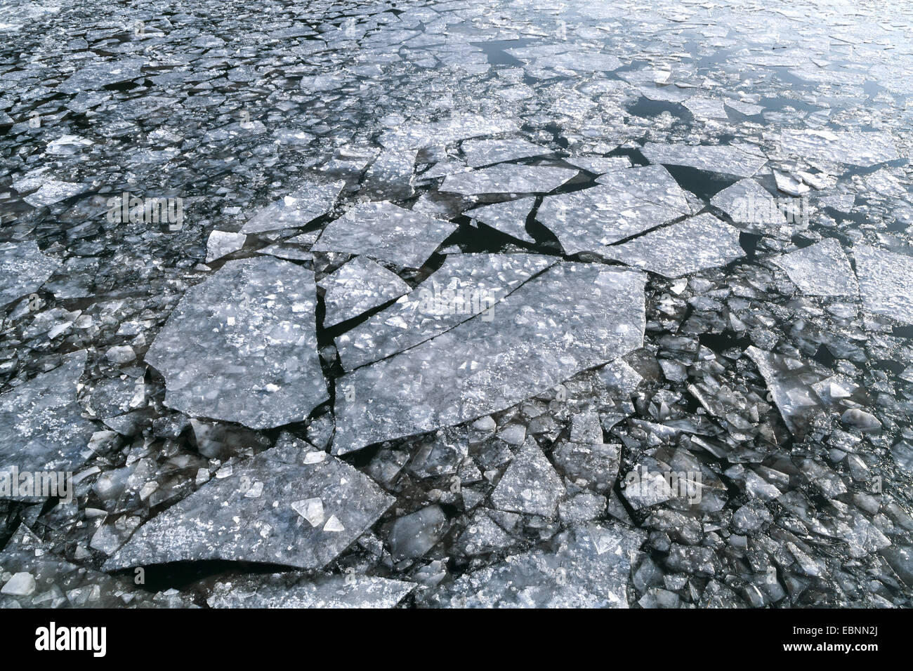 La deriva di ghiaccio su un fiume, GERMANIA Baden-Wuerttemberg, Valle del Neckar Foto Stock