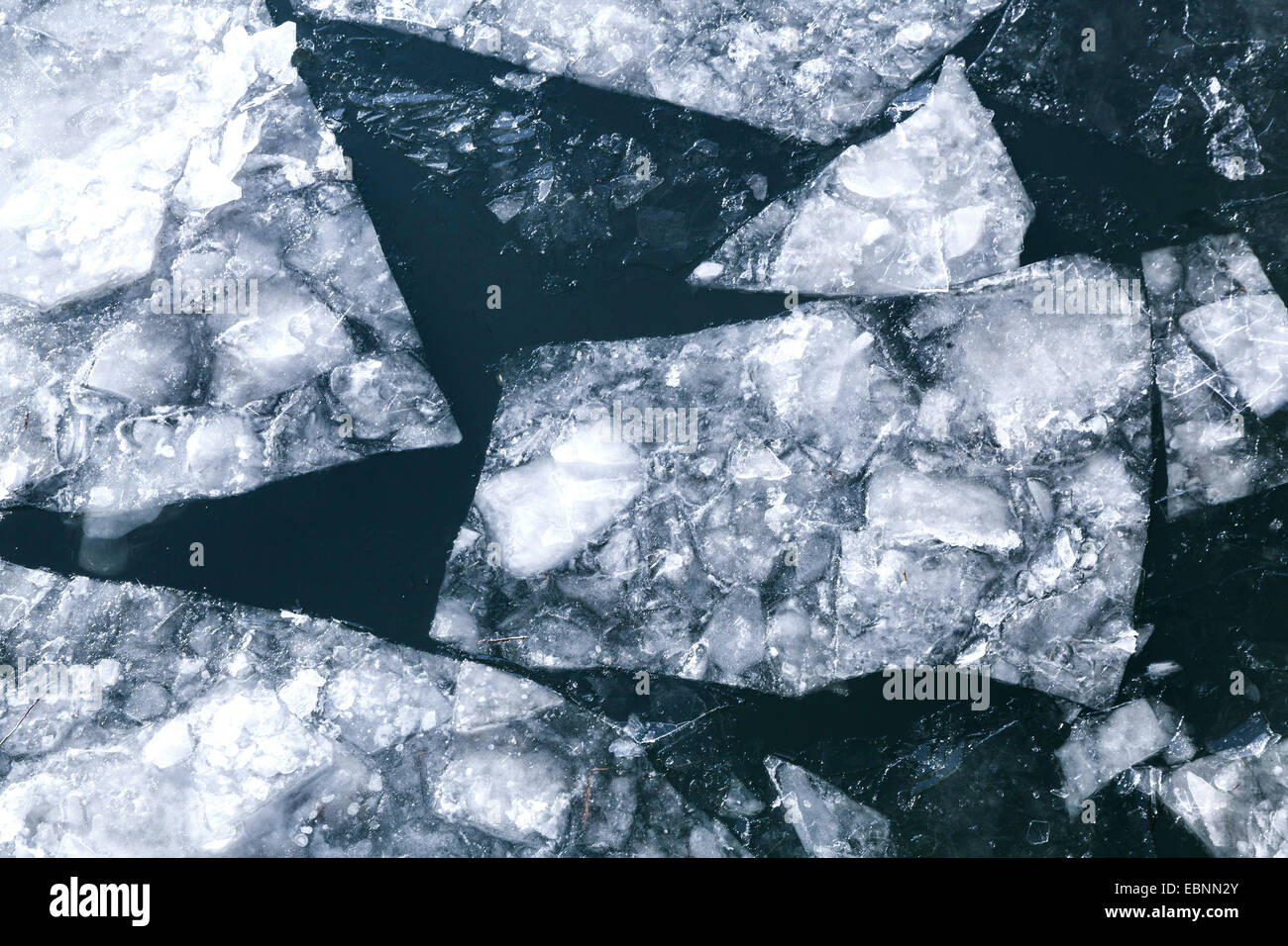 La deriva di ghiaccio sul fiume Neckar, Germania Baden-Wuerttemberg, Valle del Neckar Foto Stock