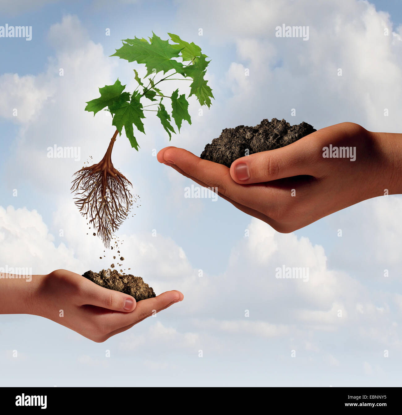 Aumento e miglioramento del concetto di business e accesso a nuovi mercati come il simbolo di una piccola mano che regge una struttura ad albero che è in aumento e il salto a un altro grande mano come un icona di avanzamento e di successo. Foto Stock