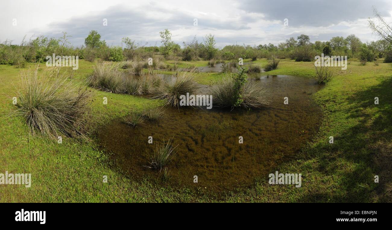 Stagni in un prato presso il delta del fiume Pinios durante una tempesta di salita, Grecia, Macedonia Foto Stock