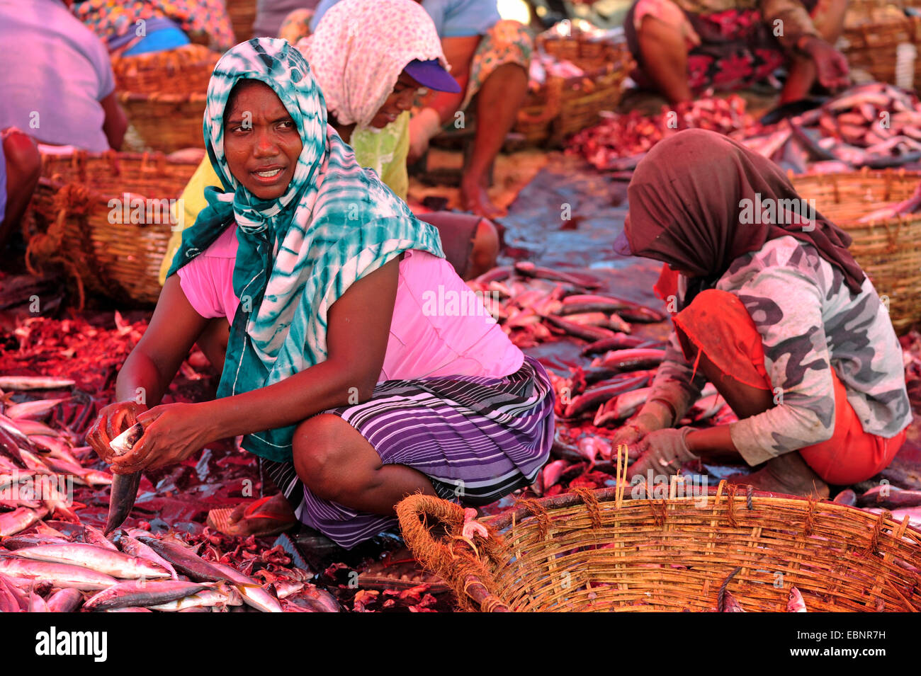 Fisherwoman cernita del pescato del giorno con la loro figlia, Sri Lanka, Negombo Foto Stock