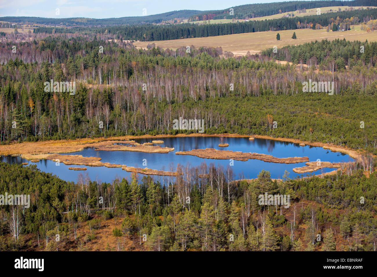 Vista aerea di moor pond in sollevato bog, Repubblica Ceca, Sumava National Park Foto Stock