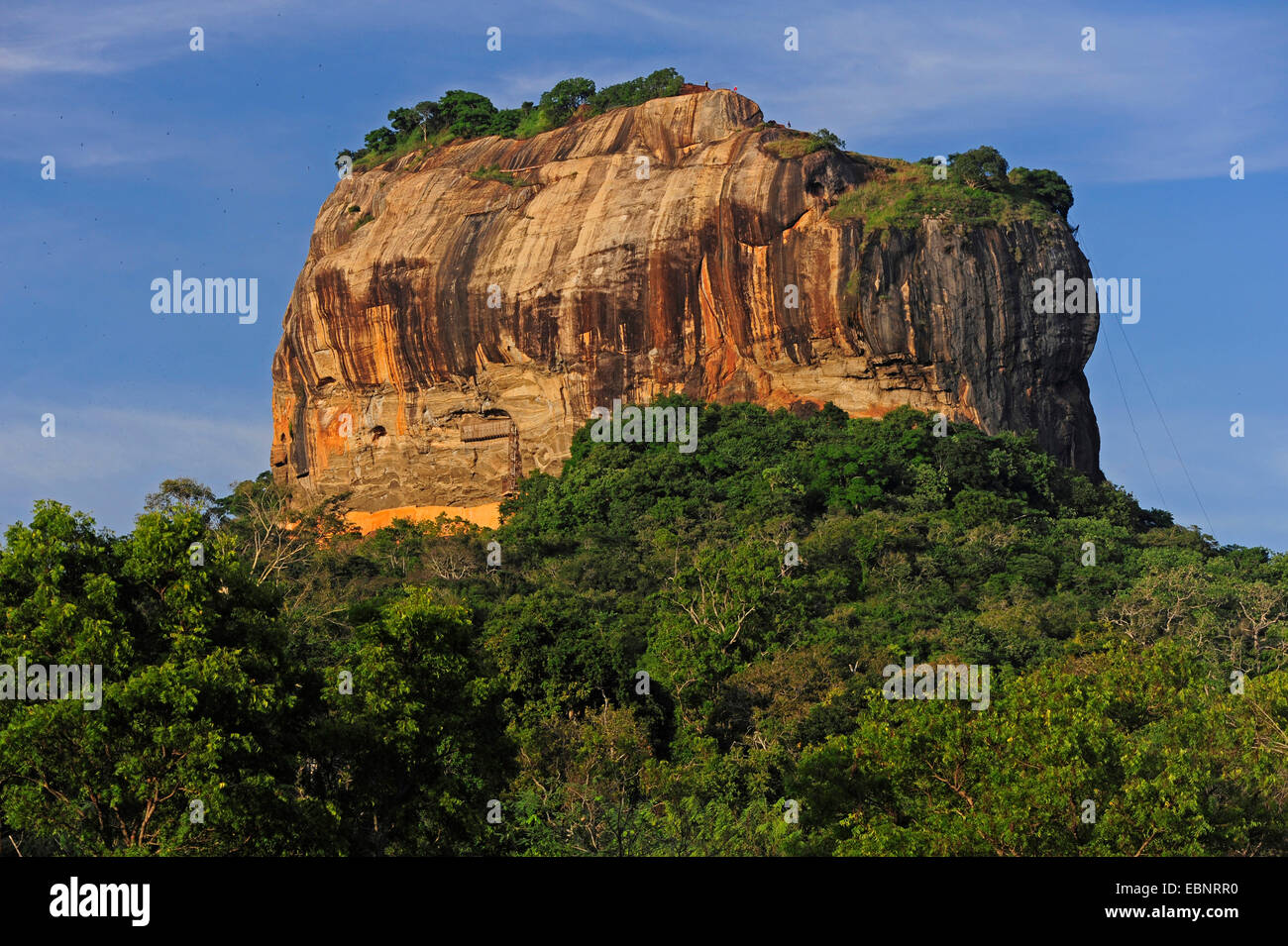 Lion Rock Sigiriya, Sri Lanka Foto Stock
