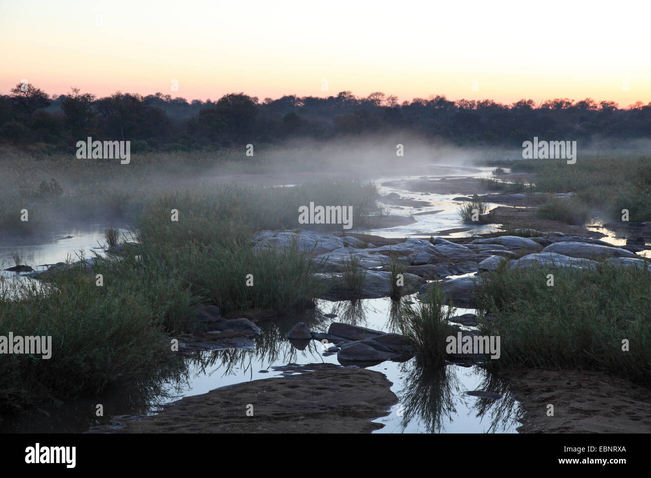 Nebbia in salita a Sabie River vicino Skukuza breve prima dell'alba, Sud Africa, Parco Nazionale Kruger Foto Stock