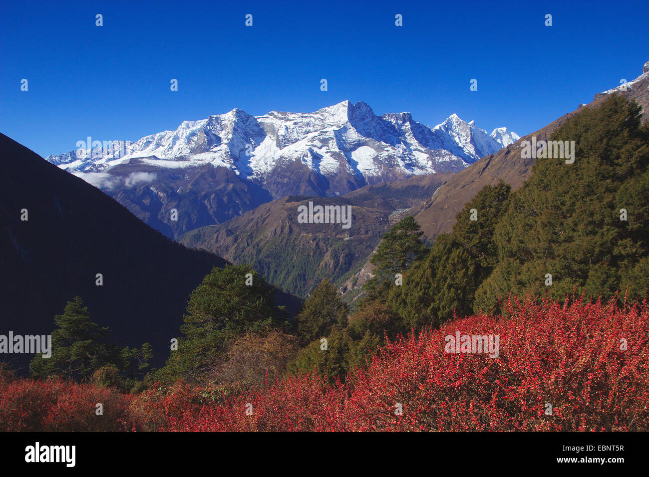 Nupla, Kongde Ri, Tengkangboche, Panayo Tippa Bigphera-Go Shar. Vista dal monastero di Tengboche con Ama Dablam, Nepal, Himalaya, Khumbu Himal Foto Stock