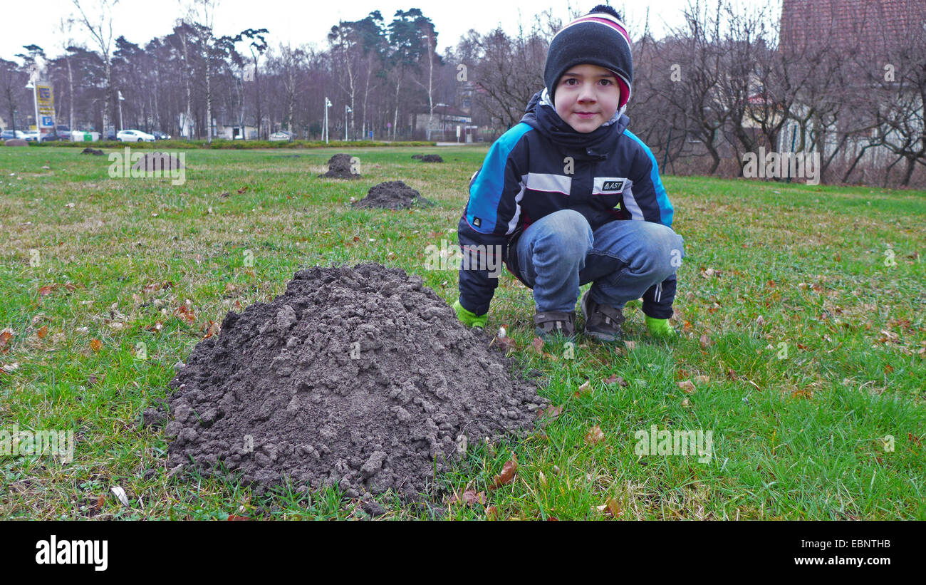 Unione mole, comune mole, Northern mole (Talpa europaea), ragazzo squatting accanto a un molehill in un parco, Germania Foto Stock