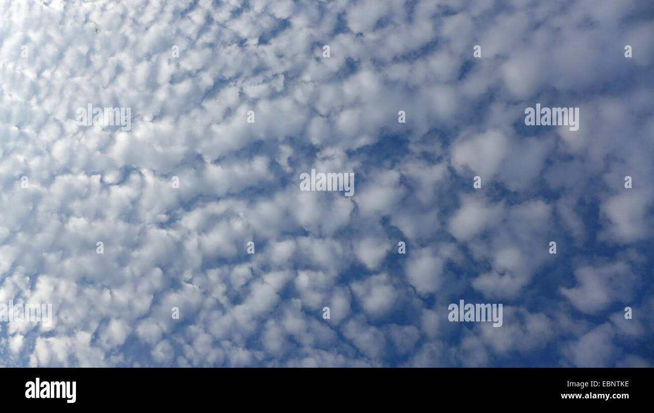 Altocumulus stratiformis, Germania Foto Stock