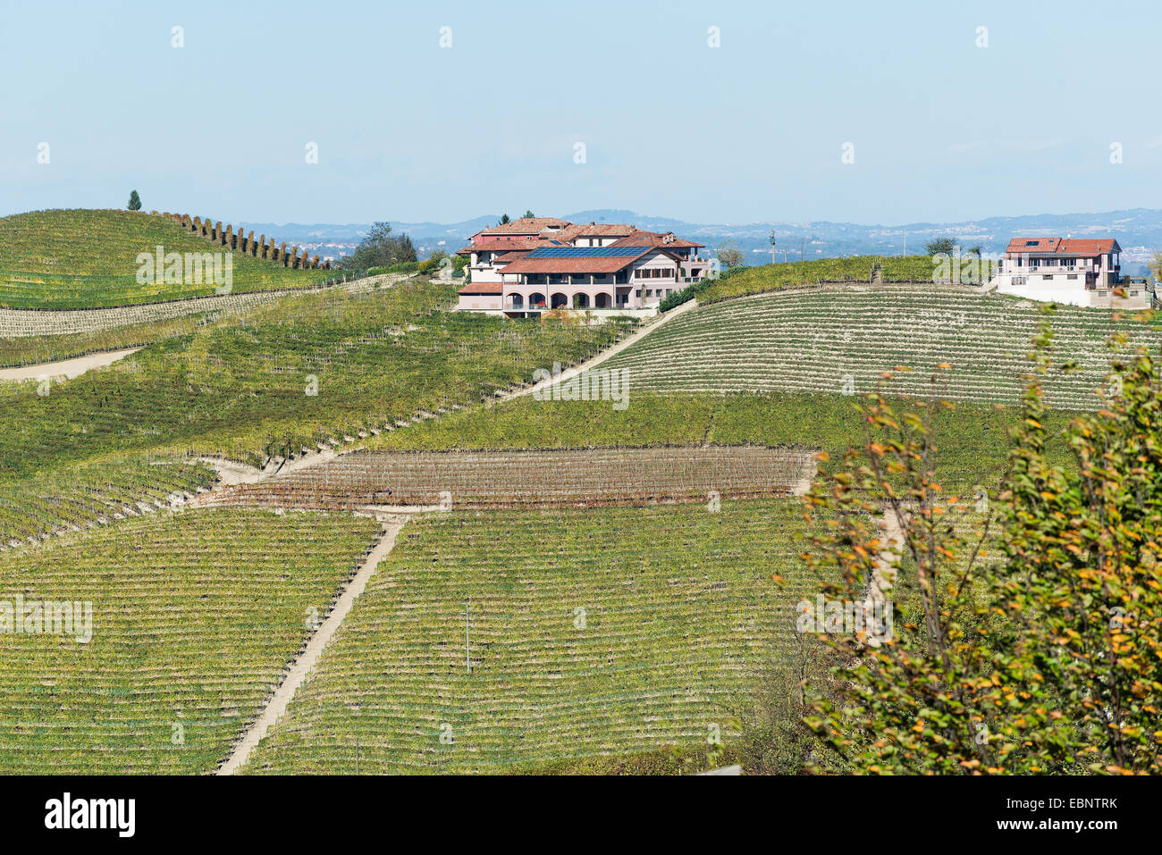 L'Italia,panorama di vigneti del Piemonte: Langhe-Roero e Monferrato nella Lista del Patrimonio Mondiale UNESCO Foto Stock