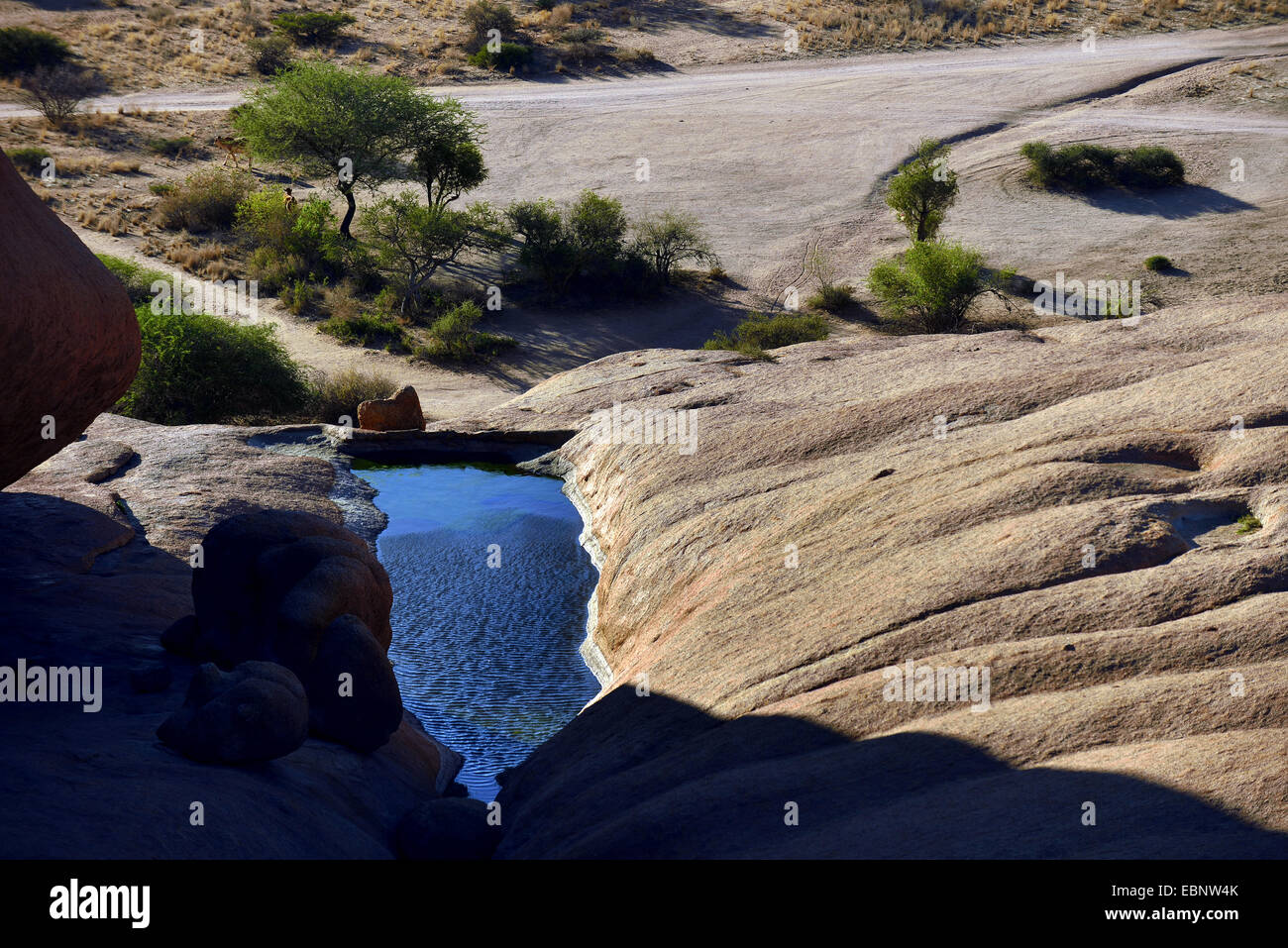 L'acqua piovana serbatoio lungo il Monte Spitzkoppe, Namibia Foto Stock