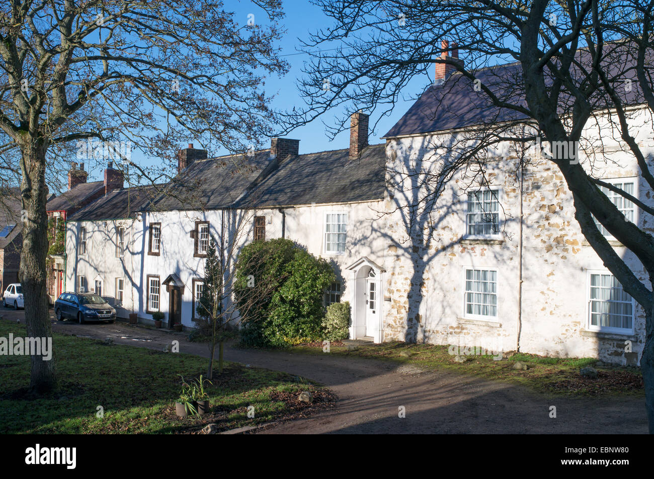 Fila di case o ville entro Shincliffe village, County Durham Regno Unito Foto Stock