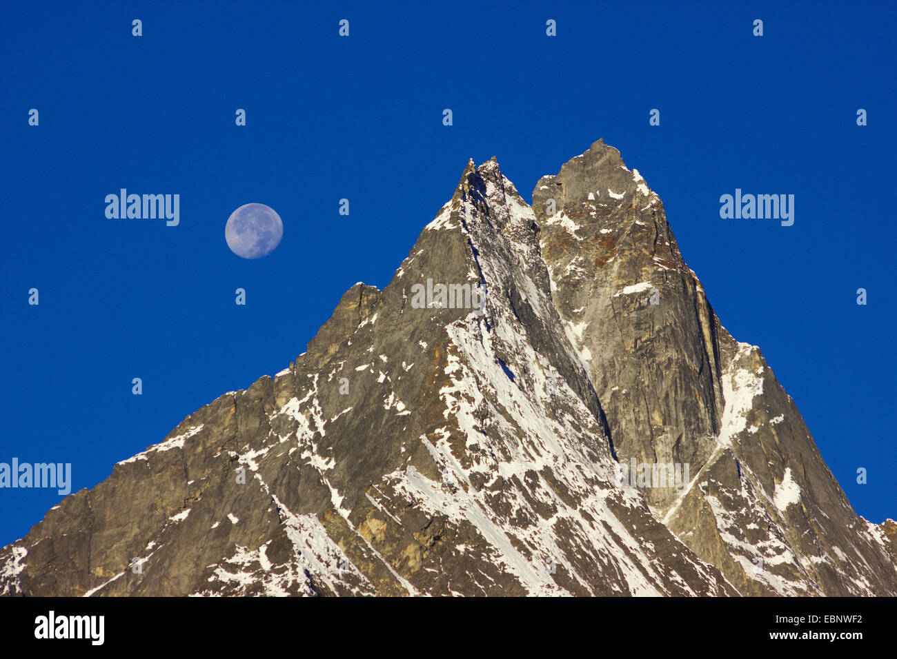 Vista dal monastero di Tengboche a Khumbi Yul Lha al calare della luna al mattino presto, Nepal, Himalaya, Khumbu Himal Foto Stock