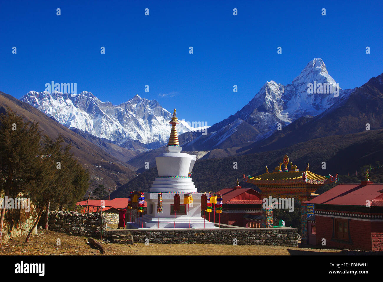 Sul Nuptse, Mount Everest (più alta montagna su erath) , sul Lhotse, Ama Dablam. Monastero di Tengboche, Nepal, Himalaya, Khumbu Himal Foto Stock