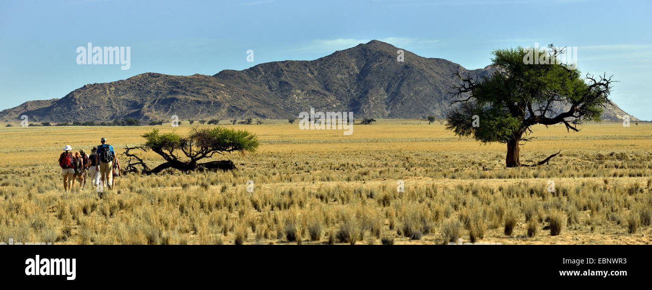 Escursioni nel Parco nazionale del Naukluft vicino al luogo chiamato Ganab, Namibia, Namib Naukluft National Park Foto Stock
