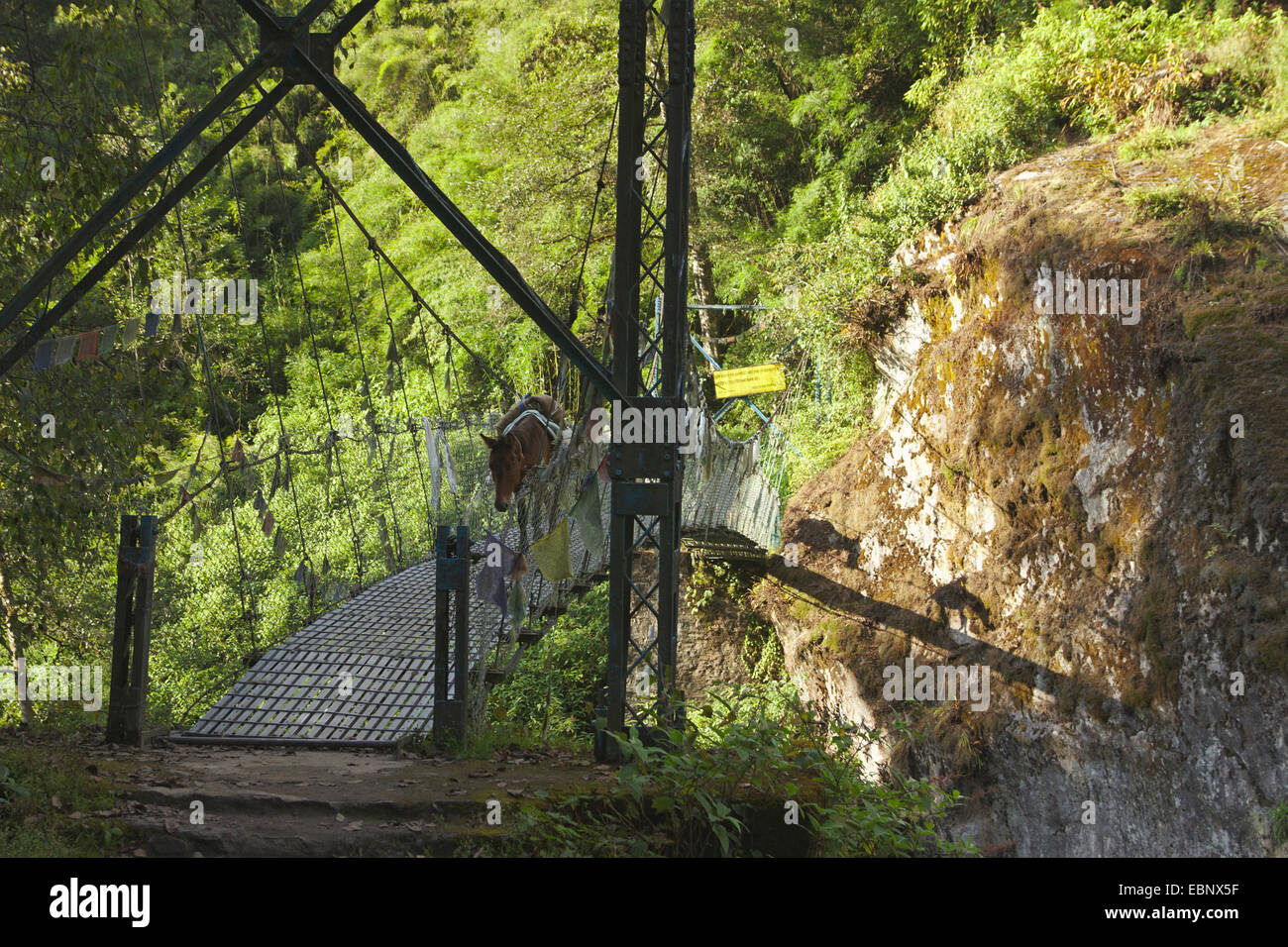 Ponte a valle di Langtang, Nepal, Langtang Himal Foto Stock