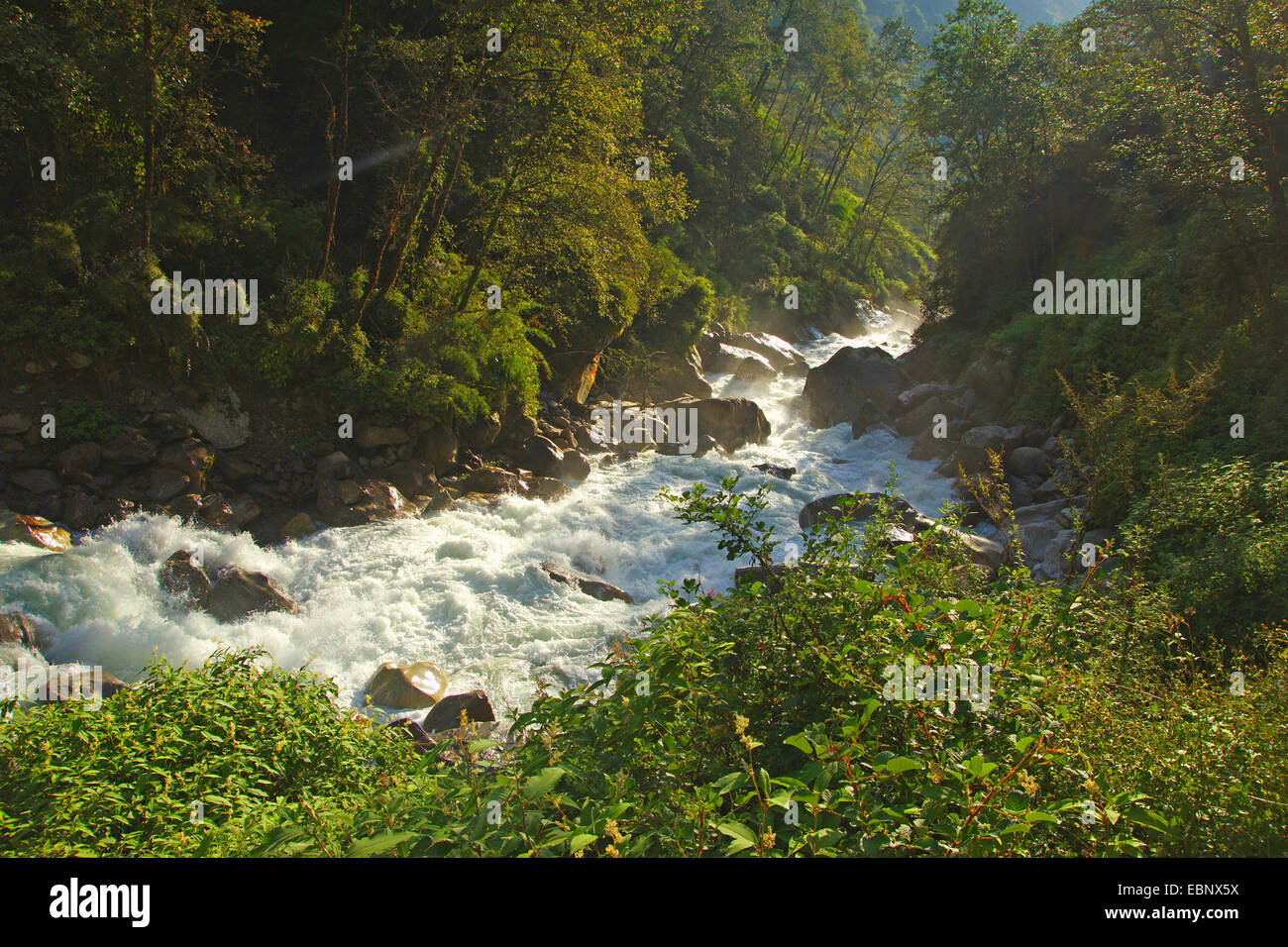 Mountain Brook presso la valle di Langtang, Nepal, Langtang Himal Foto Stock