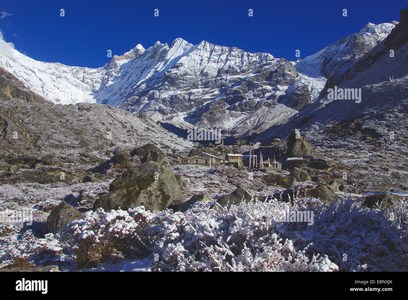 Neve fresca con monastero Kyanche Gompa e Kimshung, Nepal, Langtang Himal Foto Stock