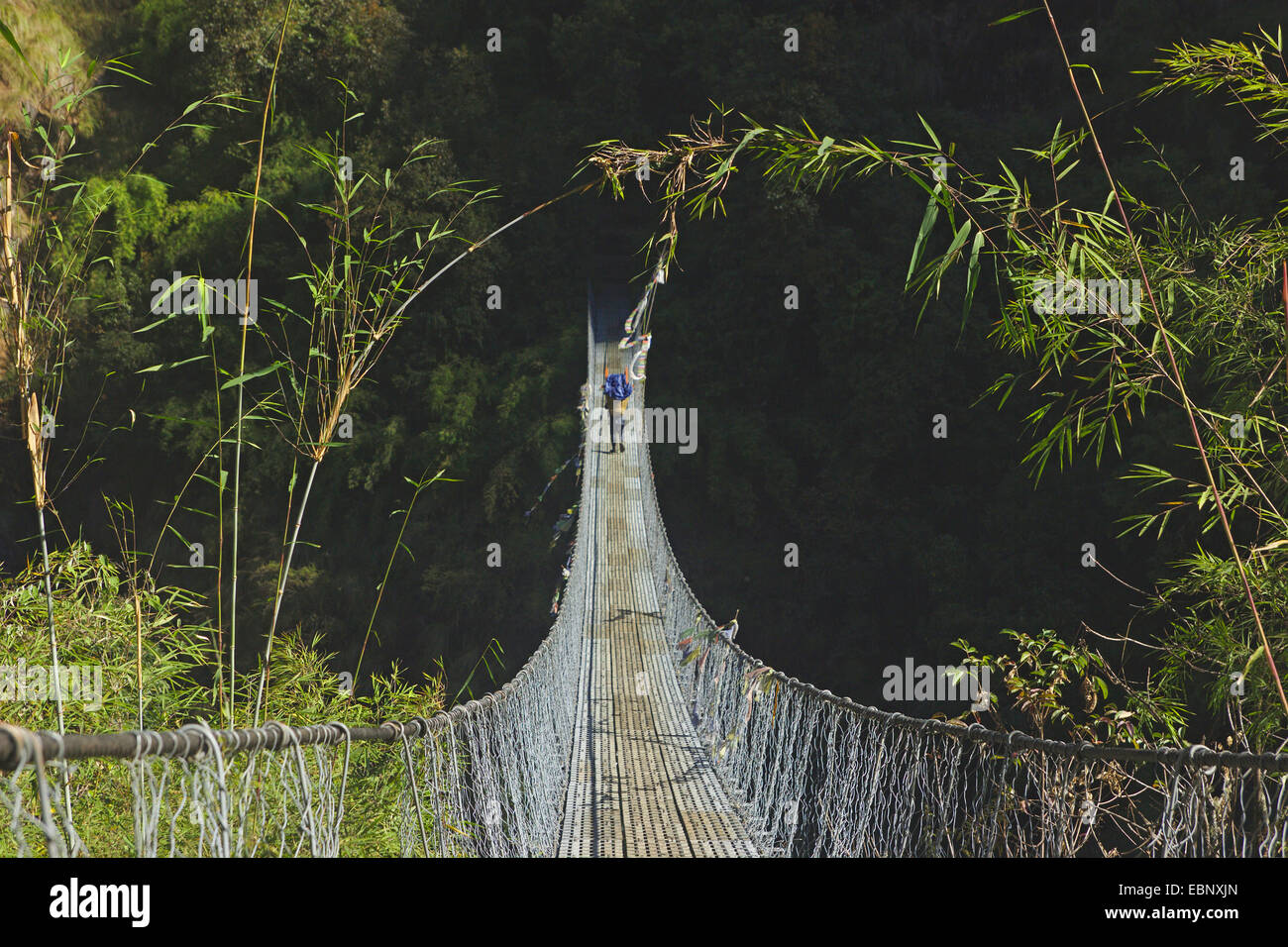 Ponte di sospensione al Langtang Valley, Nepal, Langtang Himal Foto Stock