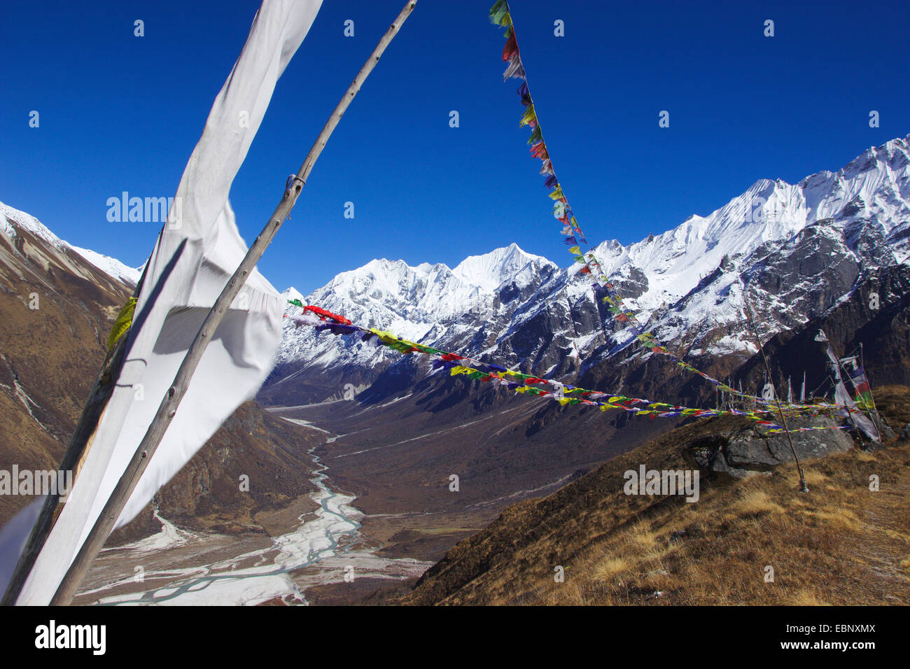 Bandiere di preghiera al di sopra della valle di Langtang, in background Gangchempo, vista dall'ascensione di Ganja La, Nepal, Langtang Himal Foto Stock