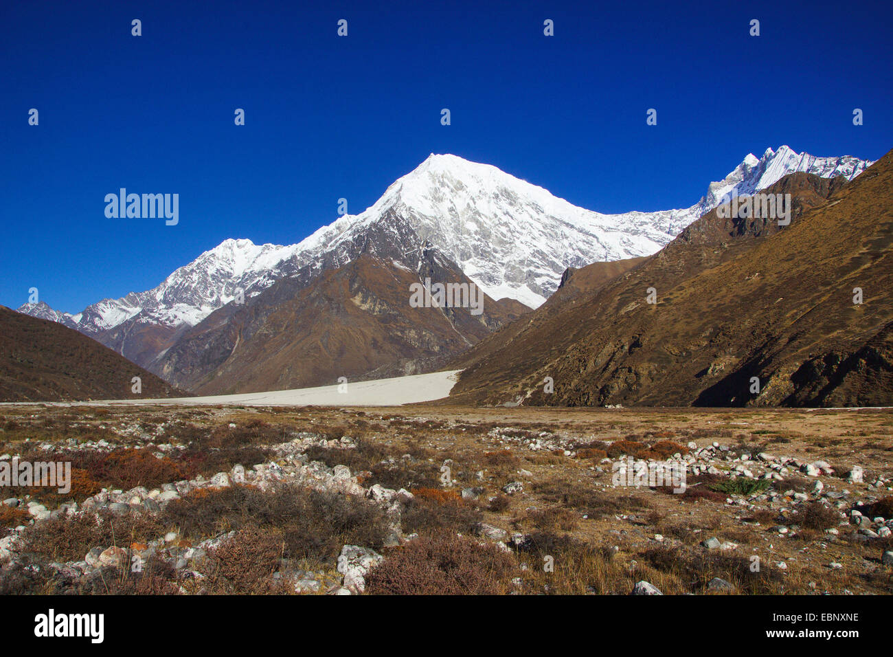 Langtang Valley con Langtang-Lirung, Nepal, Langtang Himal Foto Stock