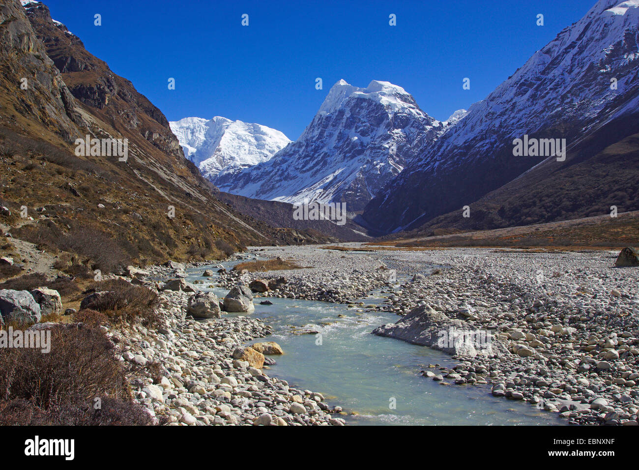 Langtang Valley con Pemthang Dampa Ri e Langshisa Ri, Nepal, Langtang Himal Foto Stock