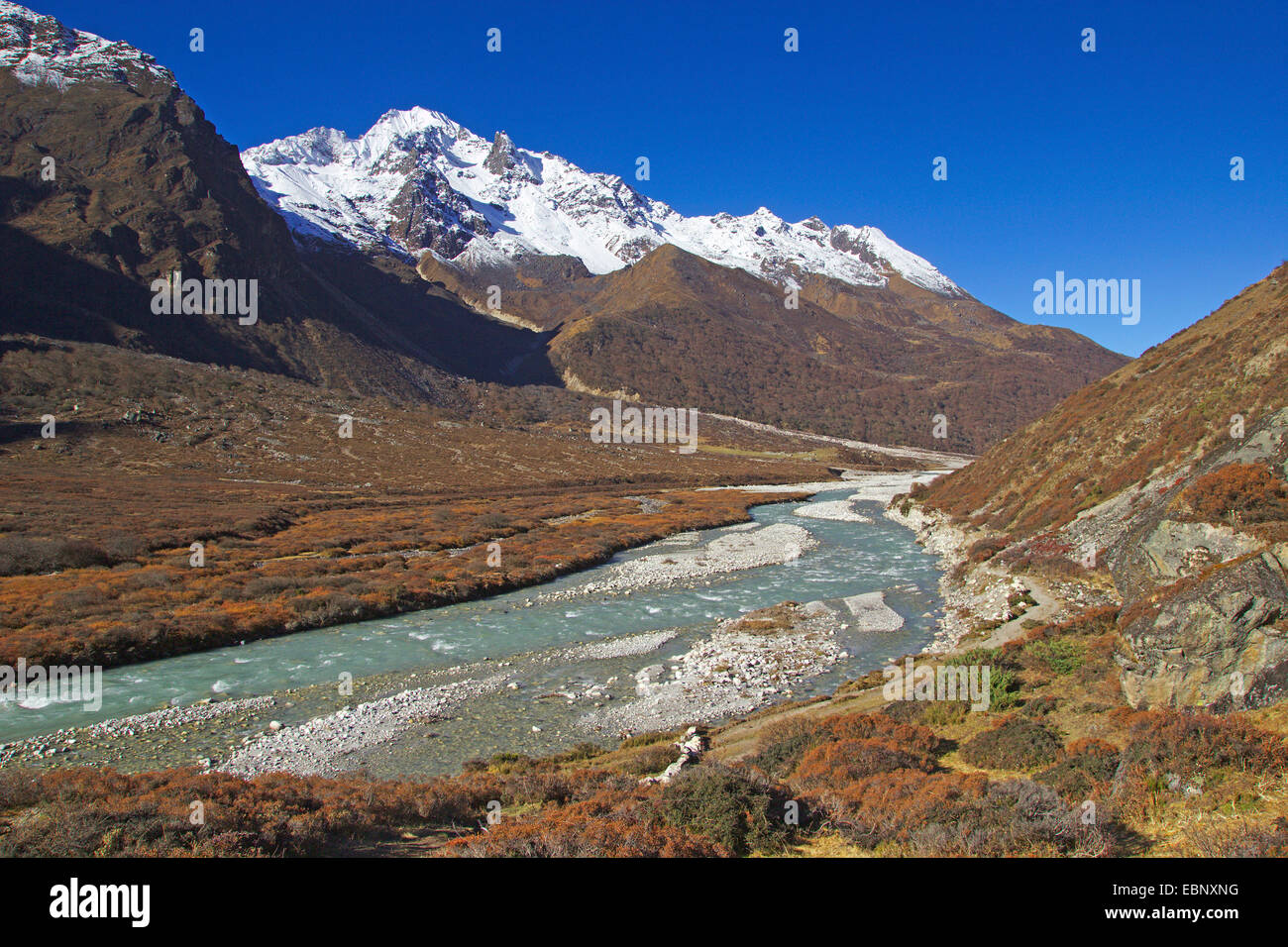 Langtang Valley con Naya Kangri, Nepal, Langtang Himal Foto Stock